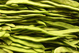 电话轰炸机网页版
